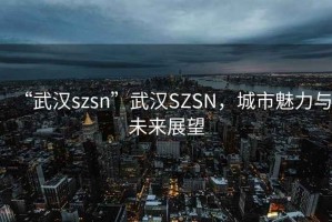 “武漢szsn”武漢SZSN，城市魅力與未來展望