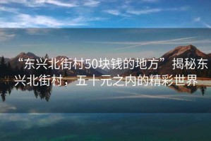 “東興北街村50塊錢的地方”揭秘東興北街村，五十元之內(nèi)的精彩世界