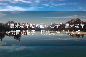 “惠來老車站對面小巷子”惠來老車站對面小巷子，歷史與生活的交織