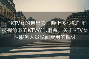 “KTV女的帶出去一晚上多少錢”科技視角下的KTV娛樂消費(fèi)，關(guān)于KTV女性服務(wù)人員晚間費(fèi)用的探討