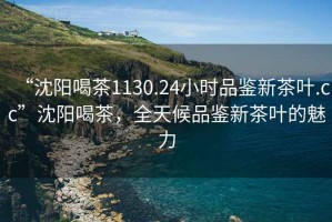 “沈陽喝茶1130.24小時品鑒新茶葉.cc”沈陽喝茶，全天候品鑒新茶葉的魅力