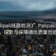 “palipali線路檢測3”Palipali線路檢測，探索與保障通信質量的旅程