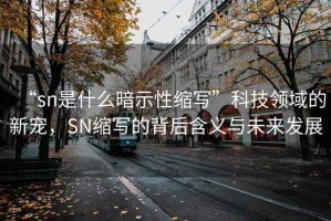 “sn是什么暗示性縮寫”科技領(lǐng)域的新寵，SN縮寫的背后含義與未來發(fā)展