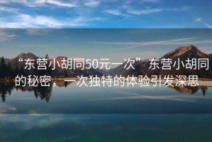 “東營小胡同50元一次”東營小胡同的秘密，一次獨特的體驗引發深思
