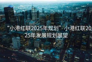 “小港紅聯(lián)2025年規(guī)劃”小港紅聯(lián)2025年發(fā)展規(guī)劃展望
