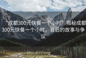 “成都300元快餐一個小時”揭秘成都300元快餐一個小時，背后的故事與爭議