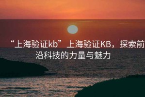 “上海驗證kb”上海驗證KB，探索前沿科技的力量與魅力