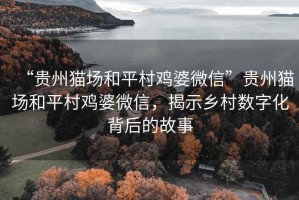 “貴州貓場和平村雞婆微信”貴州貓場和平村雞婆微信，揭示鄉村數字化背后的故事