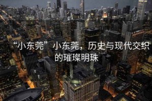 “小東莞”小東莞，歷史與現代交織的璀璨明珠