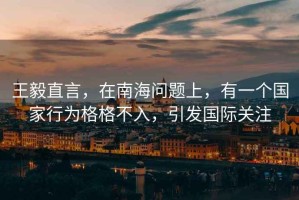 王毅直言，在南海問題上，有一個國家行為格格不入，引發國際關注