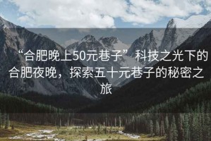 “合肥晚上50元巷子”科技之光下的合肥夜晚，探索五十元巷子的秘密之旅
