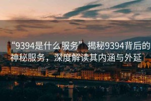 “9394是什么服務”揭秘9394背后的神秘服務，深度解讀其內涵與外延