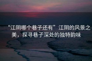 “江陰哪個巷子還有”江陰的風景之美，探尋巷子深處的獨特韻味