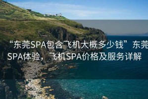 “東莞SPA包含飛機大概多少錢”東莞SPA體驗，飛機SPA價格及服務詳解