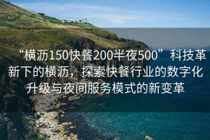 “橫瀝150快餐200半夜500”科技革新下的橫瀝，探索快餐行業的數字化升級與夜間服務模式的新變革