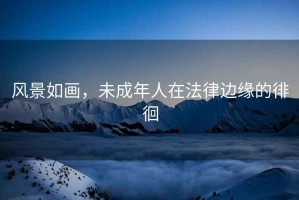 風景如畫，未成年人在法律邊緣的徘徊