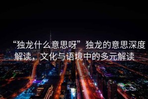 “獨龍什么意思呀”獨龍的意思深度解讀，文化與語境中的多元解讀