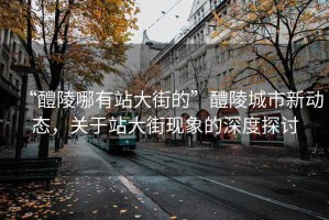 “醴陵哪有站大街的”醴陵城市新動態，關于站大街現象的深度探討