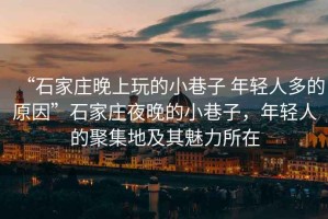 “石家莊晚上玩的小巷子 年輕人多的原因”石家莊夜晚的小巷子，年輕人的聚集地及其魅力所在