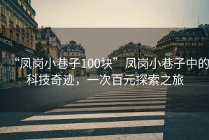 “鳳崗小巷子100塊”鳳崗小巷子中的科技奇跡，一次百元探索之旅