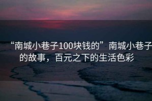 “南城小巷子100塊錢的”南城小巷子的故事，百元之下的生活色彩