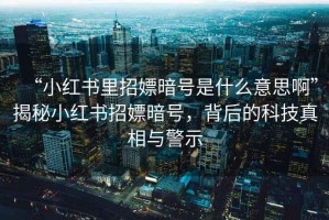 “小紅書里招嫖暗號(hào)是什么意思啊”揭秘小紅書招嫖暗號(hào)，背后的科技真相與警示