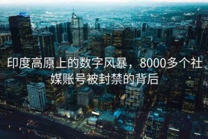 印度高原上的數字風暴，8000多個社媒賬號被封禁的背后