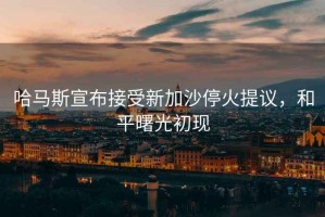 哈馬斯宣布接受新加沙停火提議，和平曙光初現
