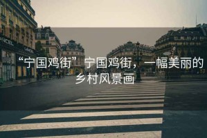 “寧國雞街”寧國雞街，一幅美麗的鄉村風景畫
