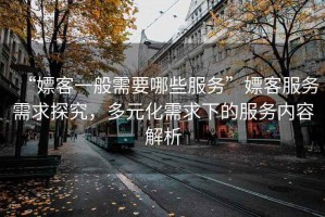 “嫖客一般需要哪些服務”嫖客服務需求探究，多元化需求下的服務內容解析