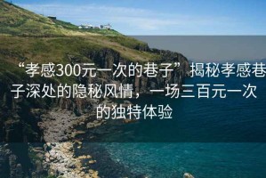 “孝感300元一次的巷子”揭秘孝感巷子深處的隱秘風情，一場三百元一次的獨特體驗