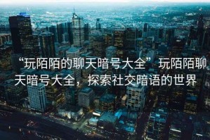 “玩陌陌的聊天暗號大全”玩陌陌聊天暗號大全，探索社交暗語的世界