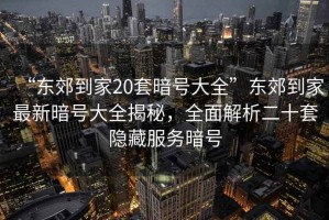 “東郊到家20套暗號大全”東郊到家最新暗號大全揭秘，全面解析二十套隱藏服務暗號