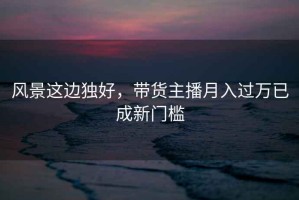 風景這邊獨好，帶貨主播月入過萬已成新門檻