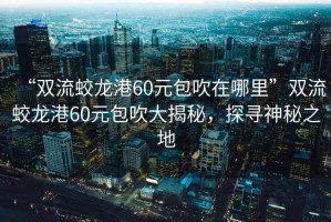 “雙流蛟龍港60元包吹在哪里”雙流蛟龍港60元包吹大揭秘，探尋神秘之地