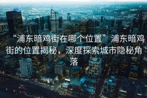 “浦東暗雞街在哪個位置”浦東暗雞街的位置揭秘，深度探索城市隱秘角落