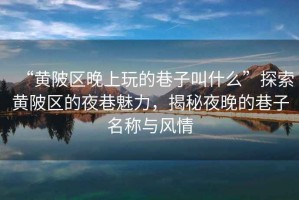 “黃陂區晚上玩的巷子叫什么”探索黃陂區的夜巷魅力，揭秘夜晚的巷子名稱與風情