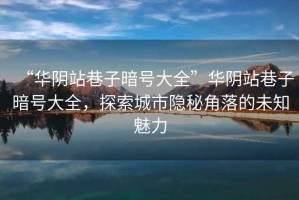 “華陰站巷子暗號大全”華陰站巷子暗號大全，探索城市隱秘角落的未知魅力