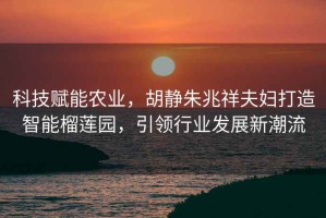 科技賦能農(nóng)業(yè)，胡靜朱兆祥夫婦打造智能榴蓮園，引領(lǐng)行業(yè)發(fā)展新潮流