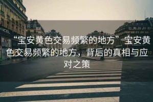 “寶安黃色交易頻繁的地方”寶安黃色交易頻繁的地方，背后的真相與應對之策