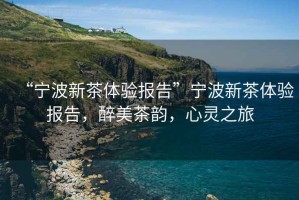 “寧波新茶體驗報告”寧波新茶體驗報告，醉美茶韻，心靈之旅