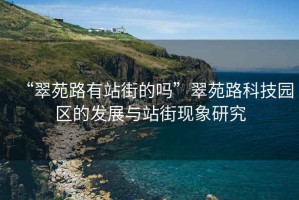 “翠苑路有站街的嗎”翠苑路科技園區的發展與站街現象研究
