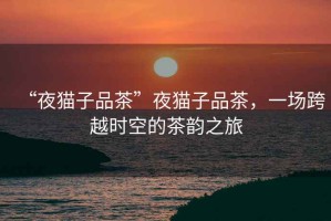 “夜貓子品茶”夜貓子品茶，一場跨越時空的茶韻之旅