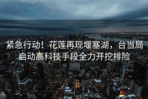 緊急行動！花蓮再現堰塞湖，臺當局啟動高科技手段全力開挖排險