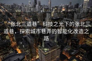 “張北三道巷”科技之光下的張北三道巷，探索城市巷弄的智能化改造之路