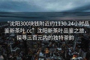 “沈陽(yáng)300塊錢附近約1130.24小時(shí)品鑒新茶葉.cc”沈陽(yáng)新茶葉品鑒之旅，探尋三百元內(nèi)的獨(dú)特茶韻