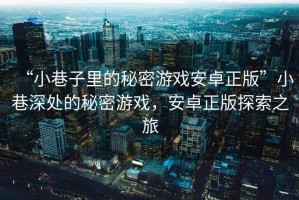 “小巷子里的秘密游戲安卓正版”小巷深處的秘密游戲，安卓正版探索之旅