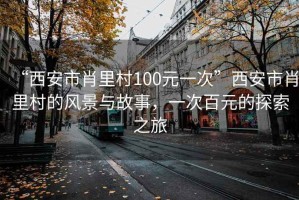 “西安市肖里村100元一次”西安市肖里村的風景與故事，一次百元的探索之旅
