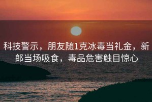 科技警示，朋友隨1克冰毒當禮金，新郎當場吸食，毒品危害觸目驚心