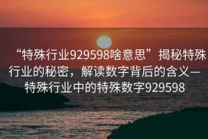 “特殊行業929598啥意思”揭秘特殊行業的秘密，解讀數字背后的含義—特殊行業中的特殊數字929598